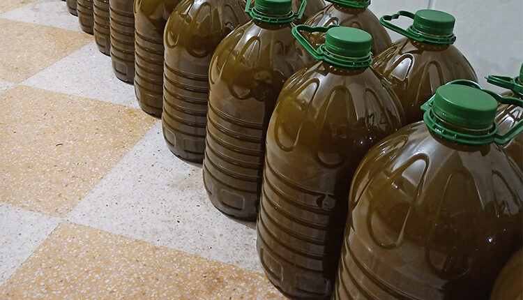 ابتدائية تازة تحكم بالسجن النافذ في حق مروجي زيت الزيتون المغشوش