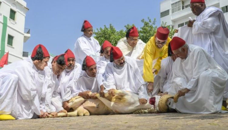 صاحب الجلالة ينحر أضحية العيد بتطوان