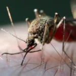 أجواء حارة نسبياً وزخات رعدية مرتقبة بعدد من مناطق المملكة